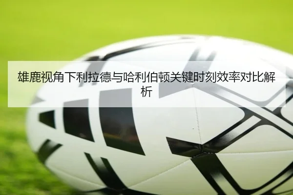 雄鹿视角下利拉德与哈利伯顿关键时刻效率对比解析 - kaiyun