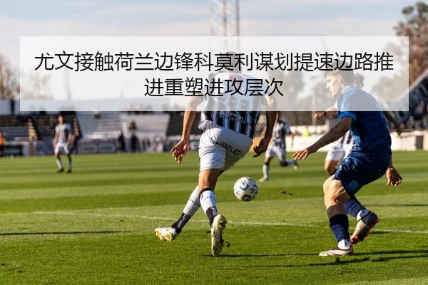 尤文接触荷兰边锋科莫利谋划提速边路推进重塑进攻层次 - kaiyun